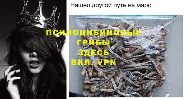 марки nbome Белокуриха