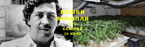марки nbome Белокуриха