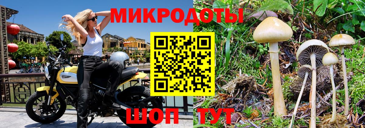 Псилоцибиновые грибы Magic Shrooms Гулькевичи