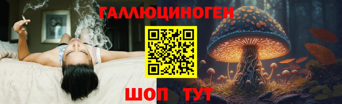 Галлюциногенные грибы Magic Shrooms  Вход с VPN  где продают   Гулькевичи 