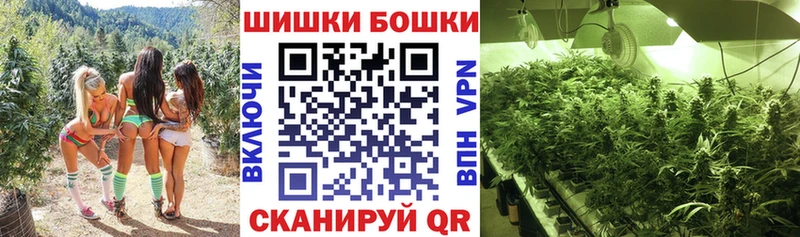 МАРИХУАНА гибрид  Гулькевичи 